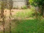 Valuable Land for Rent in Kadawatha