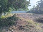 Valuable Land for Rent in Kottawa