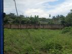 Valuable Land for Rent in Kottawa Horana road