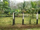 Valuable Land For Sale at Homagama
