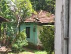 Valuable Land For Sale At Horana