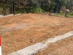 Valuable Land For Sale At Kasgama, Avissawella