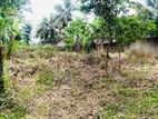 Valuable Land for Sale at Pathmaperuma Mawatha – Ganemulla