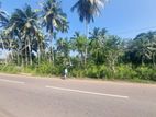 Valuable Land for Sale at Waliweriya