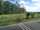 Valuable Land for Sale - Bandaragama