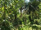 valuable land for sale bibile