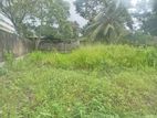 Valuable land for sale Boralasgamuwa