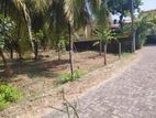 Valuable Land for Sale Boralasgamuwa