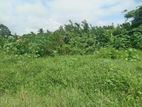 Valuable land for sale Boralasgamuwa town