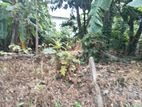 Valuable Land for Sale Boralesgamuwa