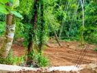 Valuable Land for Sale Close to Kandy City
