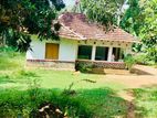 Land for Sale Horana