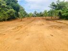 Valuable Land for Sale Diyagama