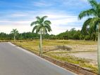 Valuable Land for sale Dompa