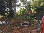 Valuable Land For Sale