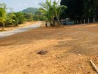 Valuable Land for Sale