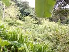 Valuable Land For Sale Galle