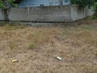 Valuable Land for Sale