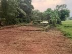 Valuable land for sale