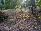 Valuable Land for Sale Makola