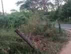 Valuable Land for Sale Polonnaruwa