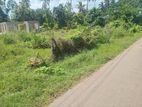 Valuable Land For Sale In Nalladarankattuwa