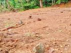 Valuable Land For Sale - Galigamuwa, Kegalle