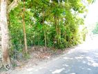 Valuable Land for Sale – Galle