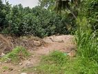 Valuable Land for Sale Galle