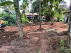 Valuable Land for Sale Gampaha