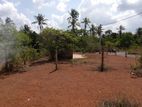 Valuable Land for Sale – Ganemulla