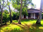 Valuable Land for Sale - Wadduwa
