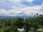 Valuable Land For sale – Gurudeniya, Kandy - Just 12 min to Lake Round