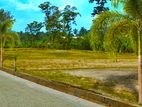 Valuable Land for sale Hanwella
