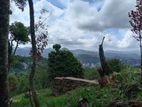 Valuable Land for Sale Herassagala