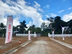 Valuable Land for Sale - Homagama Beruketiya