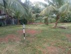 Valuable Land for Sale Homagama