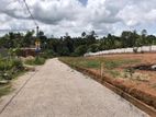 Valuable Land for Sale Homagama