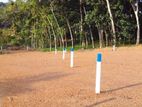 Valuable Land for Sale Horana