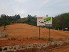 Valuable Land for Sale Ihalagama