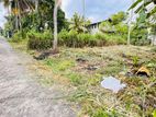 Valuable Land for Sale in a Peaceful Area Kadawatha