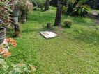 Valuable Land For Sale in Abeyrathne MW.
