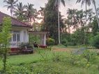 Valuable Land for Sale in Agalawatta Town mathugama road