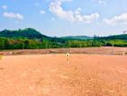 Valuable Land for Sale in Aluthgama