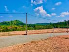 Valuable land for sale in Aluthgama Welipanna