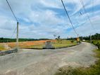 Valuable land for sale in Aluthgama Welipanna