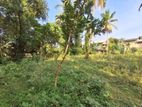 Valuable Land for Sale in Ambaraluwa