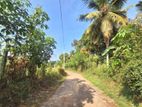 Valuable Land for Sale in Ambaraluwa, Weliveriya.