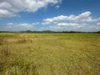 Valuable Land for Sale in Anuradhapura
