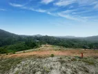 Valuable Land for Sale in Avissavella